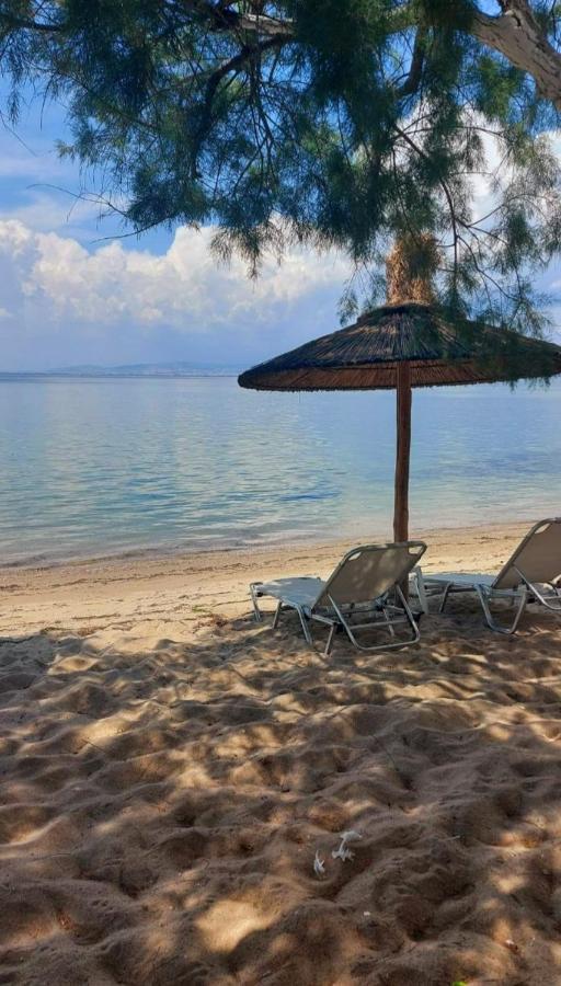 Sun Sea No 3 Apartment Peraía Екстериор снимка